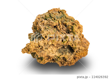 Closeup of rough surface volcanic rock with natural plant growing on. 114026392