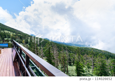 日本の長野県の観光地「八ヶ岳」の写真。 114026652