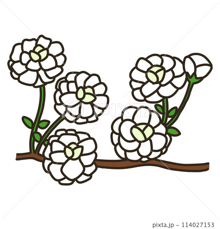 シジミバナ 114027153