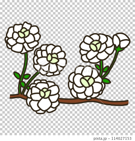 シジミバナ 114027153