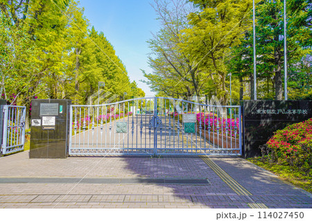 東京都立戸山高等学校 東京都立戸山高等学校 114027450