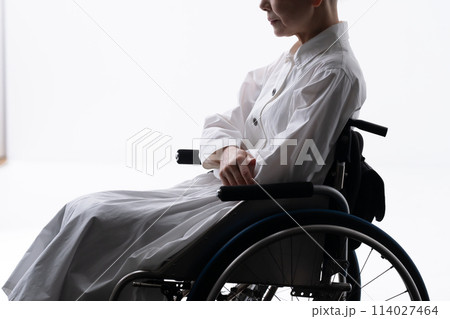 車椅子のシニア女性 シルエット 車椅子のシニア女性 シルエット 114027464
