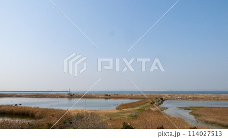 野鳥園からの風景 野鳥園からの風景 114027513