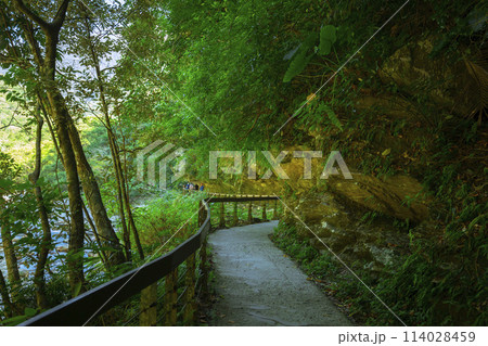 台湾 花蓮 太魯閣 114028459