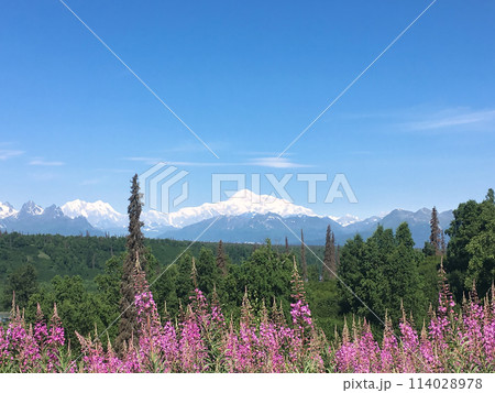 デナリ国立公園 114028978