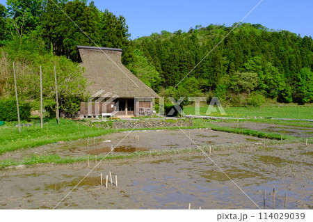 福井県敦賀市 中池見湿地 福井県敦賀市 中池見湿地 114029039
