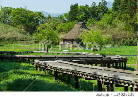 福井県敦賀市 中池見湿地 福井県敦賀市 中池見湿地 114029139