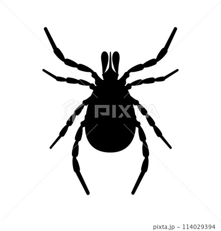 Mite. The silhouette of a tick is a top view. A blood-sucking parasite. The insect is a pest. Vector illustration isolated on a white background Mite. The silhouette of a tick is a top view. A blood-sucking parasite. The insect is a pest. Vector illustration isolated on a white background 114029394
