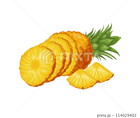 Pineapple. Ripe pineapple in the cut. A piece of juicy pineapple. A ripe tropical fruit. Vector illustration isolated on a white background Pineapple. Ripe pineapple in the cut. A piece of juicy pineapple. A ripe tropical fruit. Vector illustration isolated on a white background 114029402