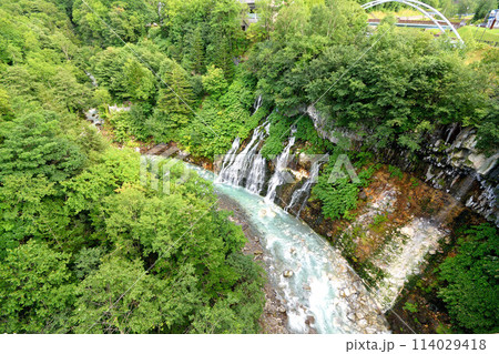 美瑛の新緑に囲まれた白ひげの滝 美瑛の新緑に囲まれた白ひげの滝 114029418