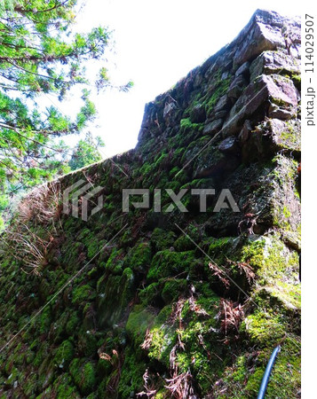 岐阜県恵那市岩村町にある日本三大山城のひとつ岩村城跡、別名霧ヶ城ともよばれる、苔生した石垣 岐阜県恵那市岩村町にある日本三大山城のひとつ岩村城跡、別名霧ヶ城ともよばれる、苔生した石垣 114029507