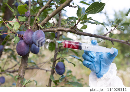 Artificial fruit coloring 114029511