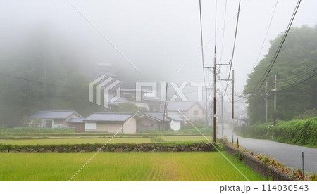 霧がかかった日本の田舎 114030543