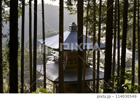 杉林越しの顔振峠の二重の塔 114030549