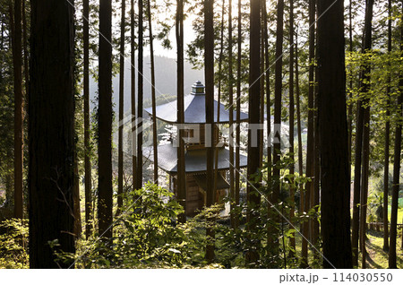 杉林越しの顔振峠の二重の塔 杉林越しの顔振峠の二重の塔 114030550