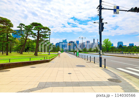 行幸通り・内堀通りの交差点からの虎の門・霞ヶ関方面のビル群と皇居外苑(東京都千代田区) 行幸通り・内堀通りの交差点からの虎の門・霞ヶ関方面のビル群と皇居外苑(東京都千代田区) 114030566