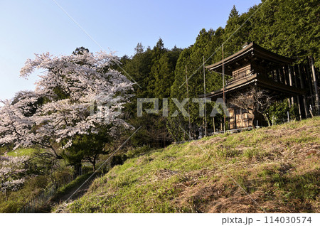顔振峠の二重の塔と桜 114030574