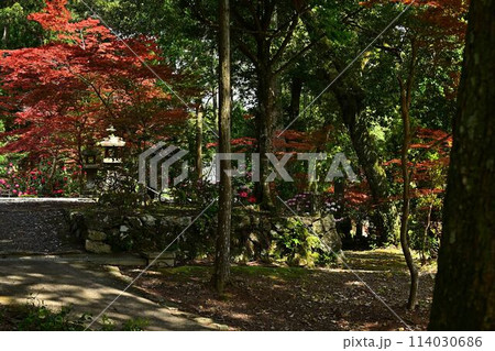 白毫寺の庭園 白毫寺の庭園 114030686