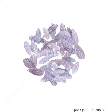 Lavender flowers in a pile isolated on white. Hand painted in watercolor. Herb with purple flowers, eco design. High quality art for packages, essential oil bottles, oil infusions, night tea 114030804