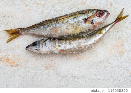 Whole raw organic mackerel fish with sea salt lying on a flat white surface Whole raw organic mackerel fish with sea salt lying on a flat white surface 114030896