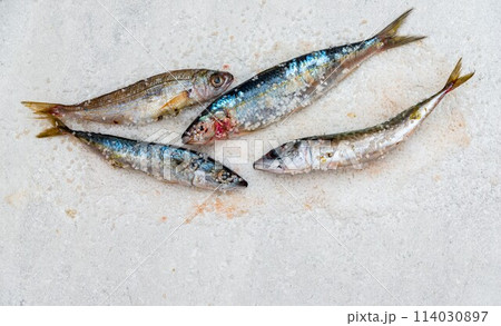 Whole raw organic mackerel fish with sea salt lying on a flat white surface 114030897