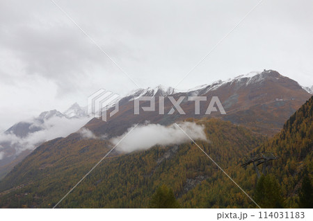 View of snow alp mountain landscape in autumn nature at swiss from the train 114031183