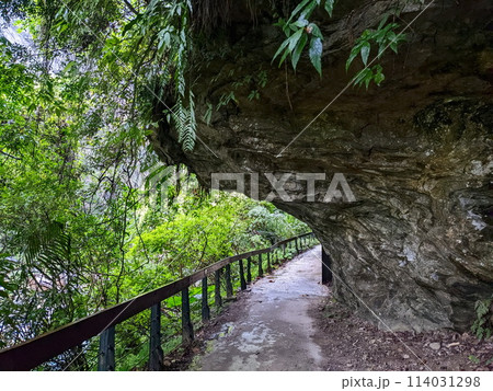 Taroko, Taiwan - 11.26.2022: Empty Shakadang Trail goes through a cliff along trees with Liwu River in a mist during the pandemic before 403 earthquake on a rainy day 114031298