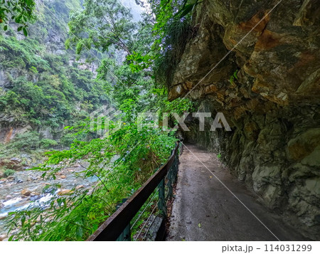Taroko, Taiwan - 11.26.2022: Empty Shakadang Trail along cliffs and trees with Liwu River on the side in a mist during the pandemic before 403 earthquake on a rainy day 114031299