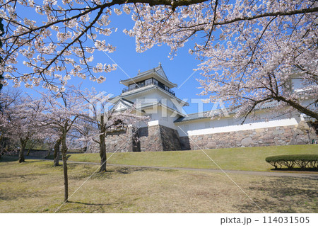 悠久山公園の桜、長岡市、新潟県、日本 114031505