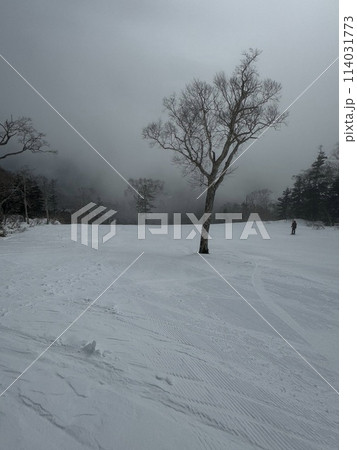 2024年1月の福島県のグランデコのゲレンデ 114031773