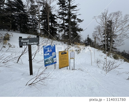 2024年1月の福島県のグランデコのRoad To Powderの入口 114031780