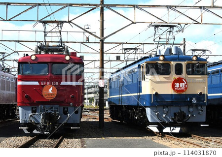 車両基地に停車するEF81形電気機関車（ゆうづる）とEF65形電気機関車（津軽） 114031870