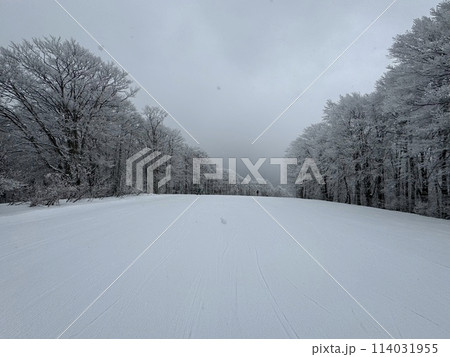 2024年1月の福島県のネコママウンテンの南エリア 114031955