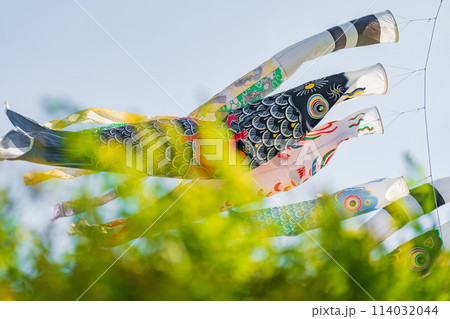こいのぼり・5月 イメージ こいのぼり・5月 イメージ 114032044