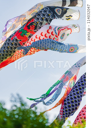 こいのぼり・5月 イメージ 114032047