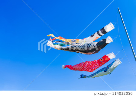 こいのぼり・5月 イメージ こいのぼり・5月 イメージ 114032056