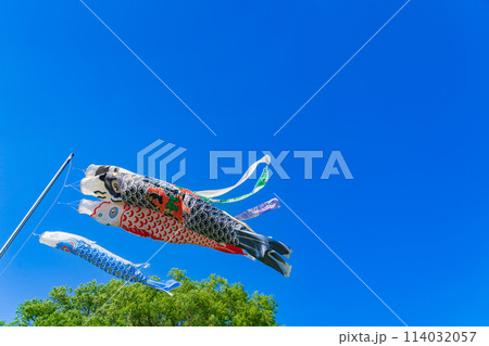 こいのぼり・5月 イメージ 114032057