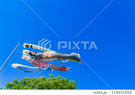 こいのぼり・5月 イメージ こいのぼり・5月 イメージ 114032058