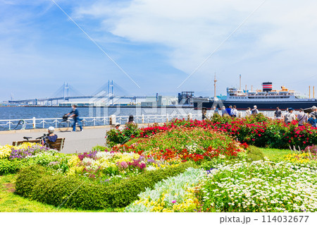 春の横浜ベイエリア　山下公園 114032677