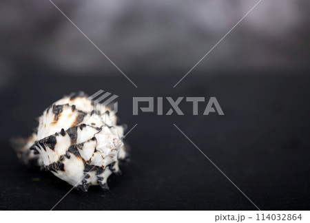 slate with space text 114032864