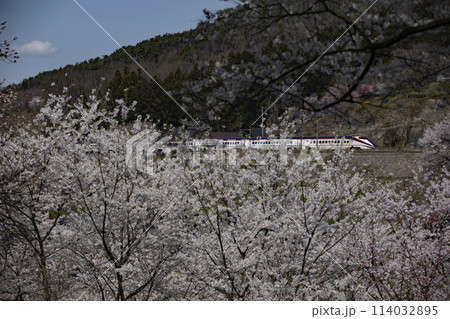 山形新幹線と満開の桜 114032895