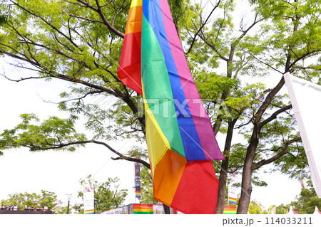 【LGBTQ+】Tokyo Rainbow Pride 114033211