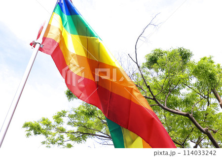 【LGBTQ+】Tokyo Rainbow Pride 114033242