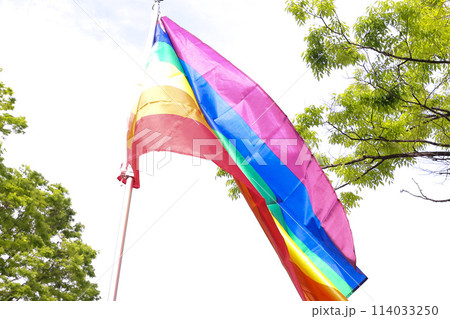 【LGBTQ+】Tokyo Rainbow Pride 【LGBTQ+】Tokyo Rainbow Pride 114033250