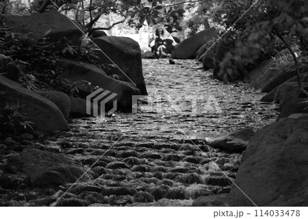 モノクロ 川岸 水 水面 水辺 (2024年4月登録) モノクロ 川岸 水 水面 水辺 (2024年4月登録) 114033478