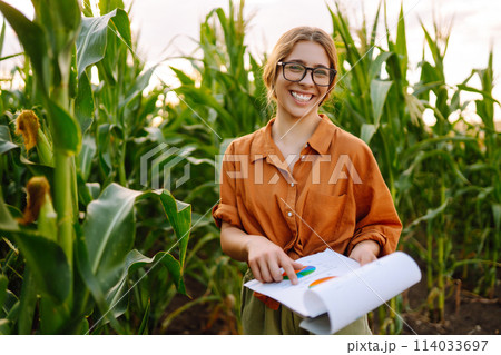 Business woman examines quality of corn field before harvesting. Agriculture. Modern technologies. 114033697