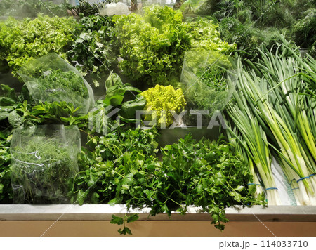 Healthy eco-friendly food for a healthy diet - greens and vegetables: parsley, dill, onion, cabbage, spinach, lettuce, arugula, romanesco, rosemary, are on display with a humidifier in the store 114033710