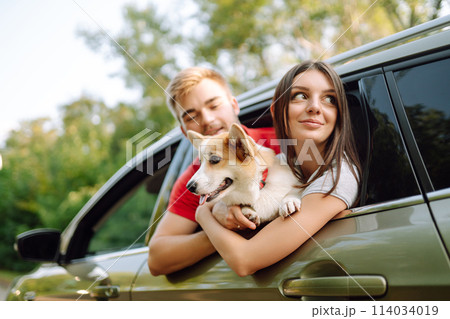 Lovely young couple with dog sits in back seat of car. Concept of active lifestyle, weekend, relax. Lovely young couple with dog sits in back seat of car. Concept of active lifestyle, weekend, relax. 114034019