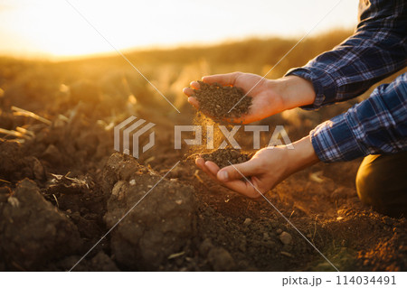 Hand of farmer collect soil, checking soil health before growth seed of vegetable Harvesting concept Hand of farmer collect soil, checking soil health before growth seed of vegetable Harvesting concept 114034491