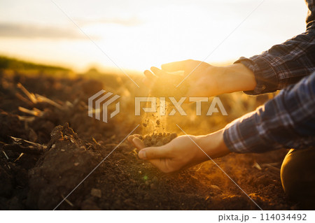 Hand of farmer collect soil, checking soil health before growth seed of vegetable Harvesting concept 114034492